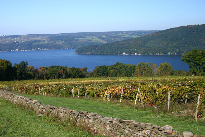 tours of finger lakes wineries